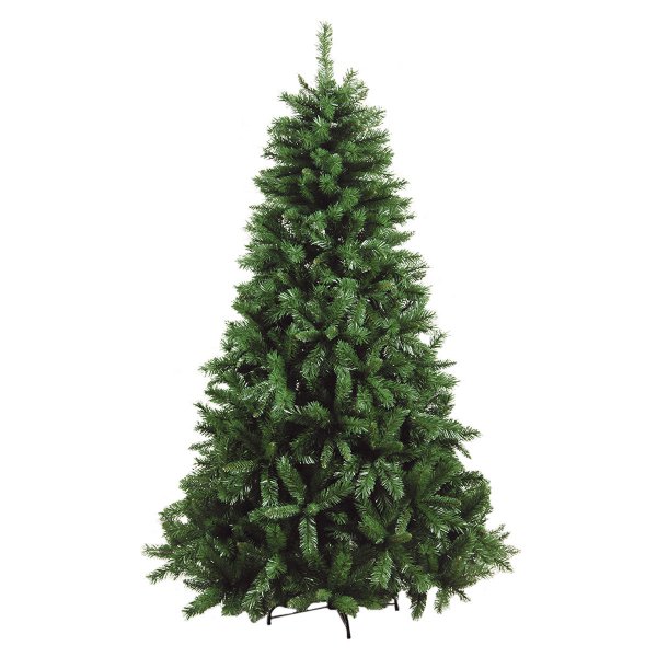 Χριστουγεννιάτικο Δέντρο Καύκασος (2,10m)
